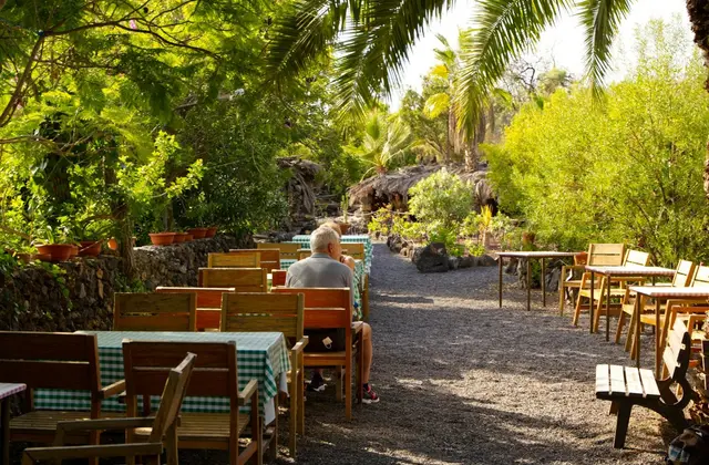 Pad tussen palmen en groen in Jungle Park in Arona