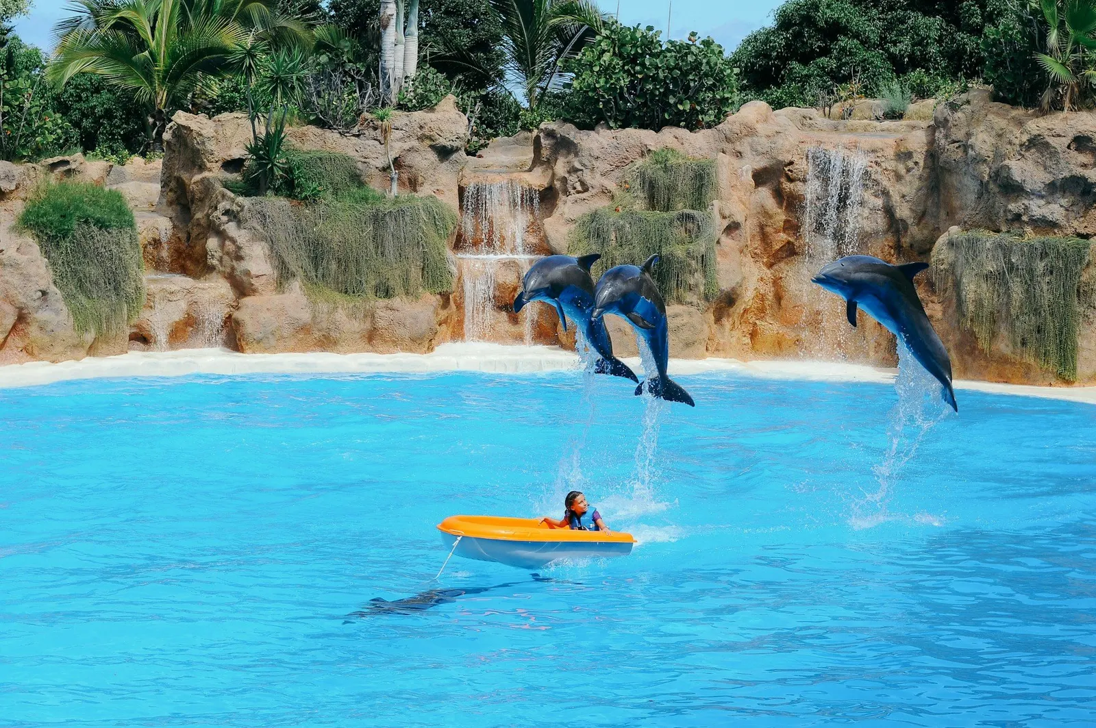Bassin met dolfijnen in Loro Parque in Puerto de la Cruz